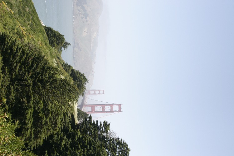Click to Close
